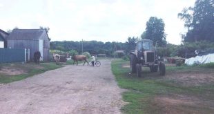 ЖИТЕЛІВ ВЕЛИКОГО ЛІСУ НАЙБІЛЬШЕ ТУРБУЄ ВІДСУТНІСТЬ ТРАНСПОРТНОГО СПОЛУЧЕННЯ, НОРМАЛЬНОЇ ДОРОГИ Й РОБОТИ