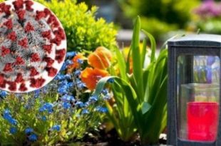 ЛИПОВОДОЛИНЦІВ ЗАКЛИКАЮТЬ ЗАЛИШАТИСЯ НА ПРОВОДИ ВДОМА