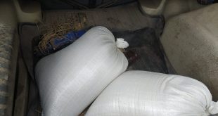 ЗА КРАДІЖКУ ДОВЕДЕТЬСЯ ВІДПОВІДАТИ