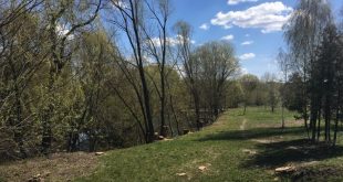 КАРАНТИН НЕ СКАСОВУЄ ВЕСНЯНИЙ БЛАГОУСТРІЙ