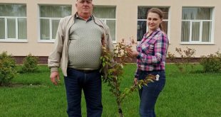 ЛАНДШАФТИ ПО-БЕЇВСЬКИ