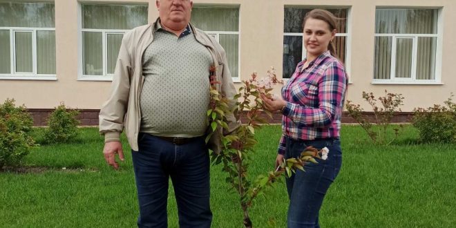ЛАНДШАФТИ ПО-БЕЇВСЬКИ