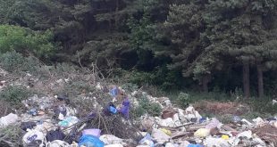 КУДИ СИНІВЧАНАМ ДІВАТИ СМІТТЯ ТА ЯК МЕШКАНЦЯМ ДОВЖИКА ДОБИРАТИСЯ ДО ЦЕНТРУ ГРОМАДИ?