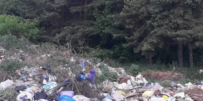 КУДИ СИНІВЧАНАМ ДІВАТИ СМІТТЯ ТА ЯК МЕШКАНЦЯМ ДОВЖИКА ДОБИРАТИСЯ ДО ЦЕНТРУ ГРОМАДИ?