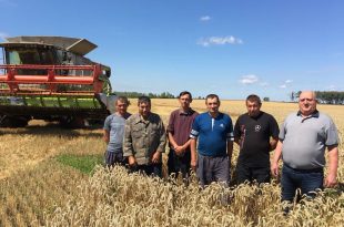 НА ЖНИВАХ У БЕЄВОМУ СТАРТ І ФІНІШ БУЛИ ПОРЯД