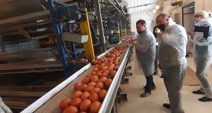 ЖУРНАЛІСТСЬКИЙ ДЕСАНТ - НА ПТАХОФАБРИЦІ В ЛИПОВІЙ ДОЛИНІ