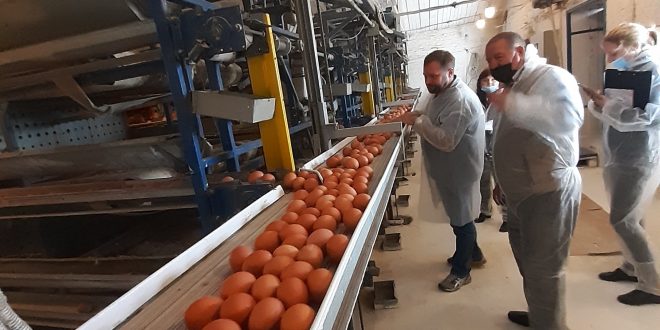ЖУРНАЛІСТСЬКИЙ ДЕСАНТ - НА ПТАХОФАБРИЦІ В ЛИПОВІЙ ДОЛИНІ