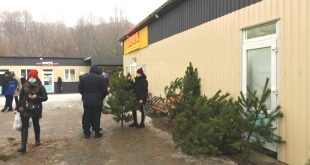 СТАРТУВАВ ПРОДАЖ НОВОРІЧНИХ ЯЛИНОК