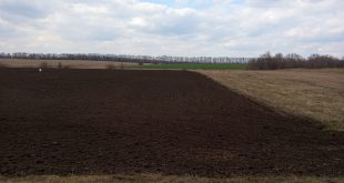У ЖИТЕЛІВ СЕМЕНІВКИ ВІДІБРАЛИ ГОРОДИ