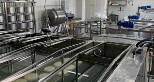 МІСЦЕВИЙ СІЛЬГОСППІДПРИЄМЕЦЬ НАЛАГОДИВ ВИРОБНИЦТВО КРАФТОВОГО СИРУ