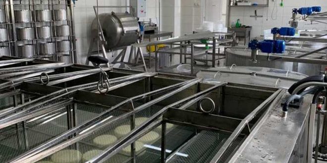 МІСЦЕВИЙ СІЛЬГОСППІДПРИЄМЕЦЬ НАЛАГОДИВ ВИРОБНИЦТВО КРАФТОВОГО СИРУ