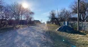ВЕСЕЛЕ: МЕШКАНЦІ ОСОБЛИВО НЕ НАРІКАЮТЬ НА ЖИТТЯ, “АБИ НЕ БУЛО ГІРШЕ”