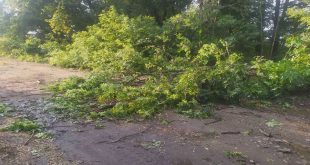 ЛИПОВОДОЛИНСЬКІ ЕНЕРГЕТИКИ МАЙЖЕ ЛІКВІДУВАЛИ НАСЛІДКИ СУБОТНЬОЇ НЕГОДИ