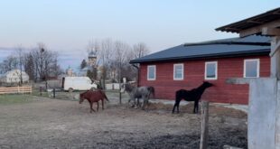 Ветеран ЗСУ Ігор Сабадаш займається фермерством і розвиває екотуризм