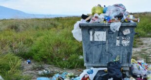 Вартість вивозу твердих побутових відходів зросте