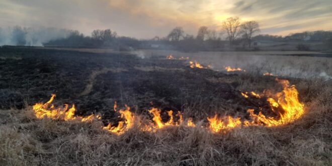 Вогонь без контролю: як підпали нищать місцеву екосистему