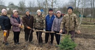 Сосновий парк майбутнього: у Панасівці висадили молоді дерева