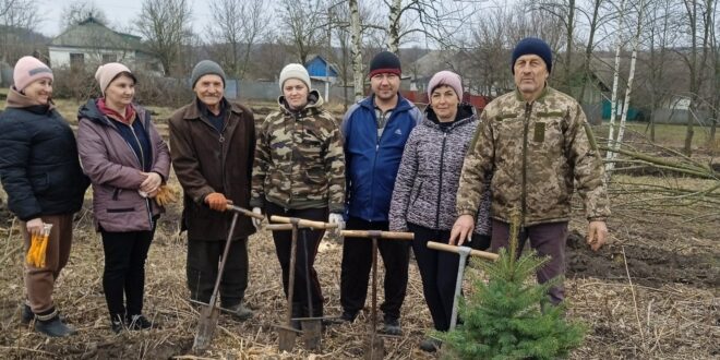 Сосновий парк майбутнього: у Панасівці висадили молоді дерева Сосновий парк майбутнього: у Панасівці висадили молоді дерева