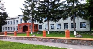 Капустинську та Саївську гімназії планують реорганізувати в філії Синівського ліцею