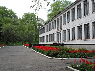 Капустинську та Саївську гімназії планують реорганізувати в філії Синівського ліцею