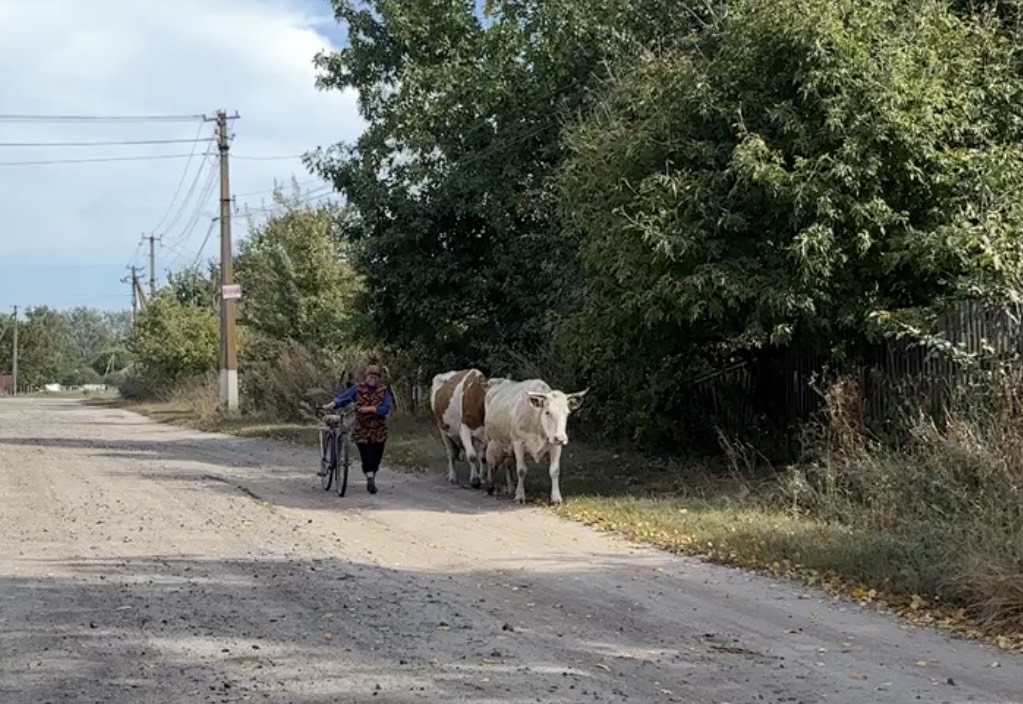 Життя триває: коротко про сьогодення Підставського старостату