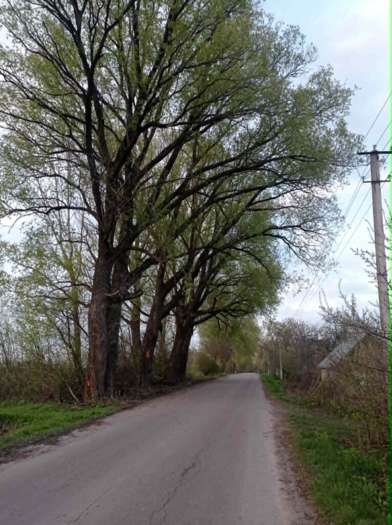 Столярове: маленьке село з великим серцем