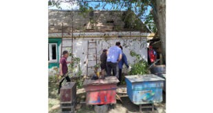 Падіння шахеда в Липовій Долині наробило чимало лиха