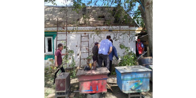 Падіння шахеда в Липовій Долині наробило чимало лиха