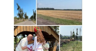 Виростити врожай ще не означає його продати